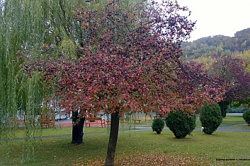Krásný podzim v Jakubčovicích č. 2 (IP)
