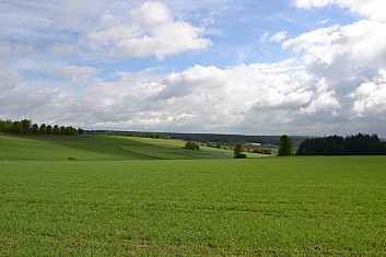 Bavorské louky (IČ)