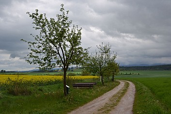 Ovocná alej Stiftlandu z Bavorska do Čech (IČ)