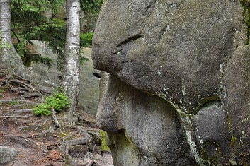 Strážce stezky (IČ)