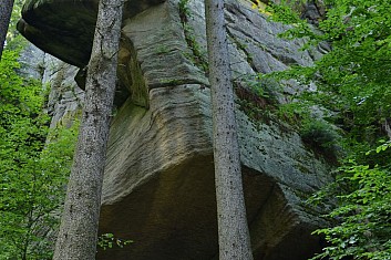 Cesta do Radkowa (IČ)