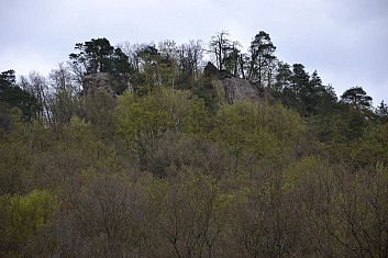 Břestecká skála se noří z vegetace (IČ)