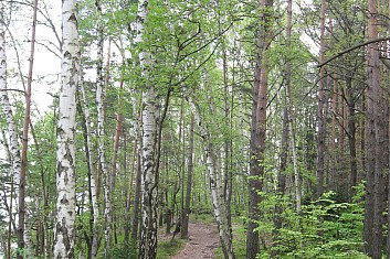 Cesta na Krásnou vyhlídku (VČ)