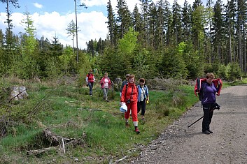 Úspěšně jsme prošli houštinami (IČ)