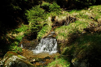 Potůček Branná (AV)