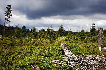 Pohled na polskou stranu (AV)