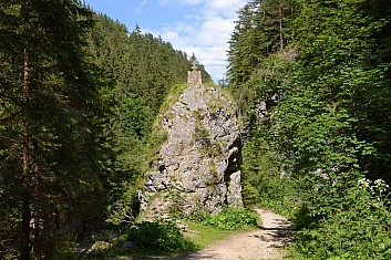 Cesta podél Borovianky (IČ)