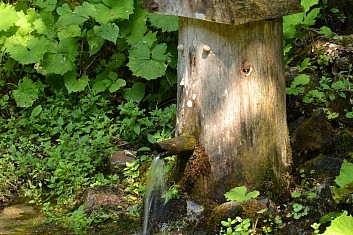 Pohádková studánka (IČ)