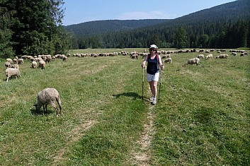 To je krása. Brynza, žinčica, oštiepok a skopové. (KM)