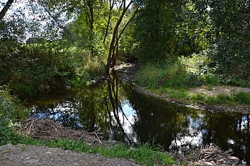 Tady je Krounka klidná a cesta schůdná (IČ)