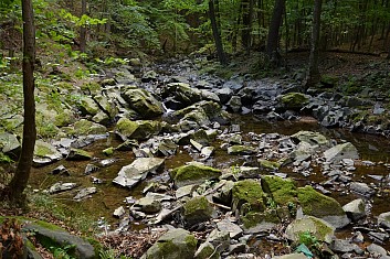 Člověk by neřekl, že tady je vodácká trasa (IČ)