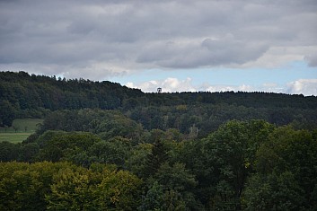 Nad lesem vykukuje rozhledna Borůvka (IČ)