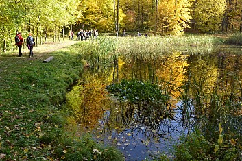 Pod hradem býval ... a znovu je rybník (IČ)