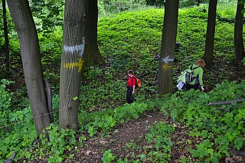 Cesta byla dobře značená (IČ)