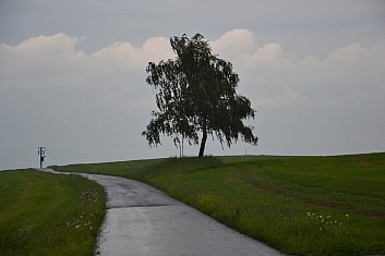 Solitér (IČ)