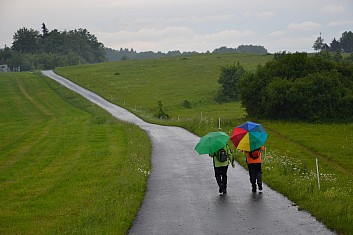 Dva deštníky jdou zmoklou krajinou ... (IČ)