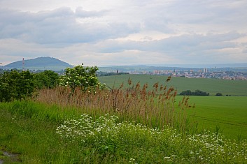 Starý a Nový Jičín (IČ)