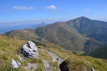 Vyplatí se občas se ohlédnout (IČ)