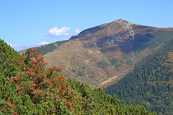 Malá Fatra koncem léta (IČ)