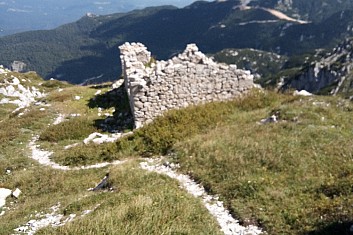 Bývalá pohraniční strážnice na Jugoslávské hranici