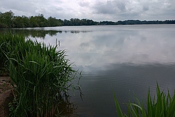 Dolní Bartošovický rybník 