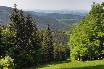 (SK)Krkonošské lesy