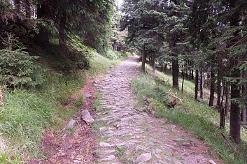 Cesta od rozcestí u Šeráku.Tudy jezdily koňské povozy se zásobami na chatu Šerák.